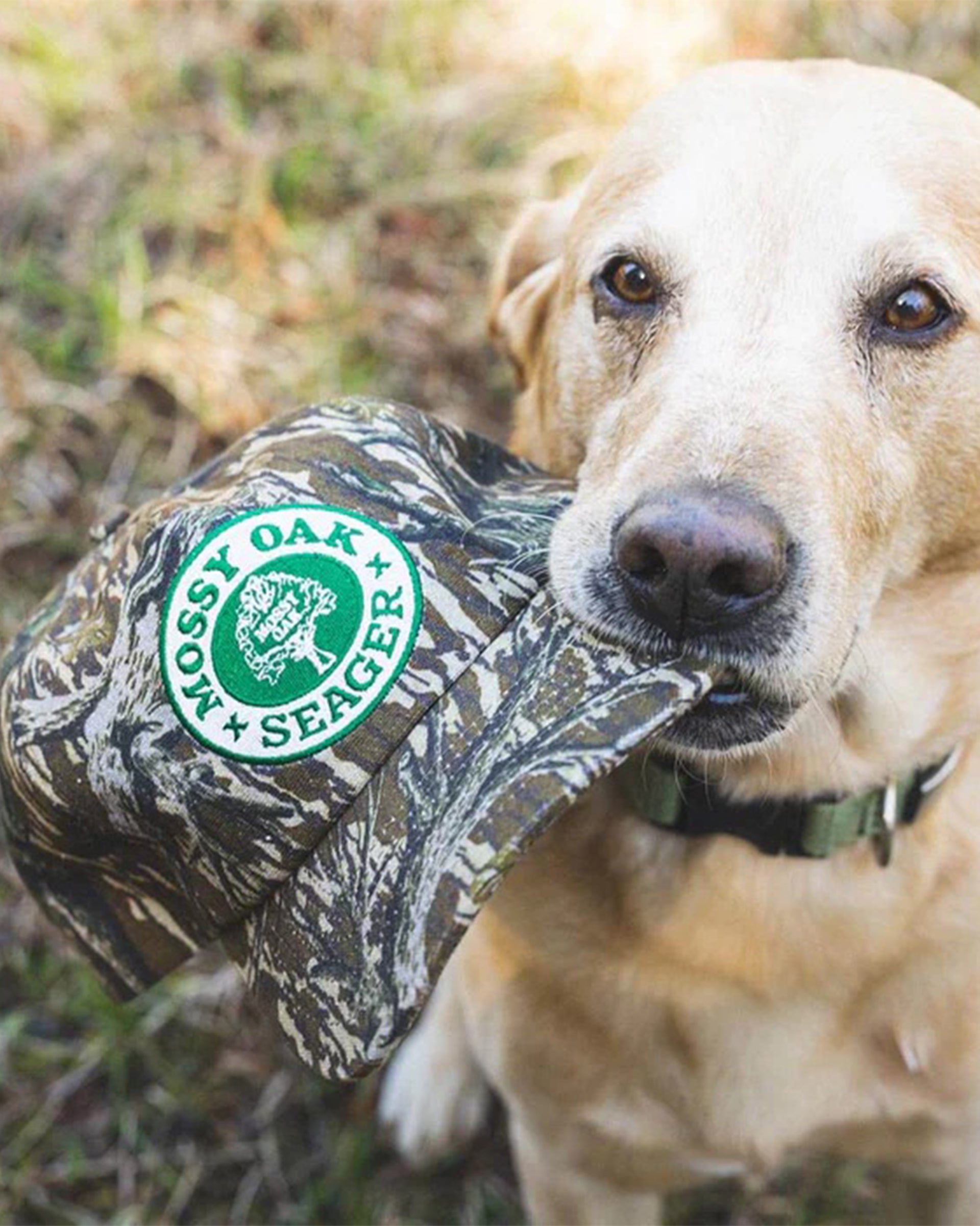 Seager Co. x Mossy Oak Snapback Original Treestand - Camo