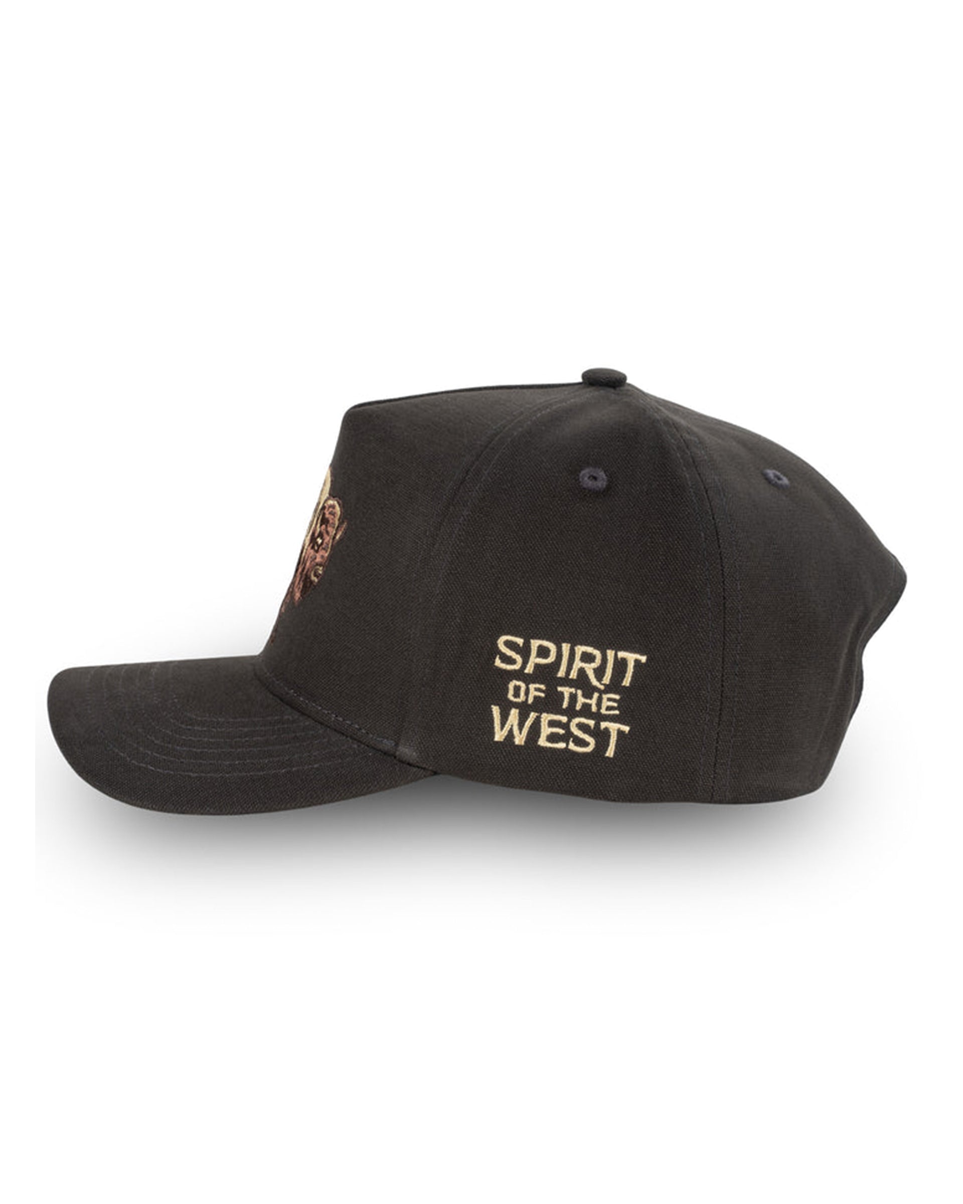 Sendero Provisions Co. American Buffalo Hat - Black