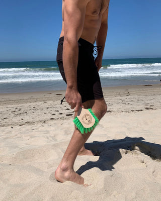 The Surf Brush Shorty