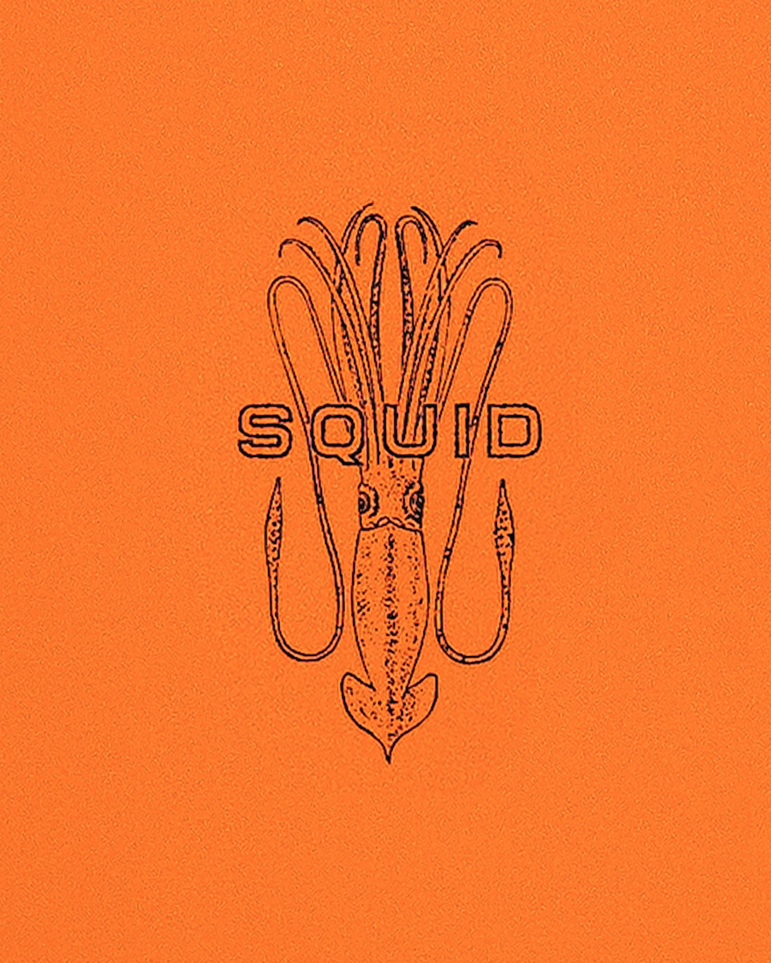 SQUID 6'0 - Orange/Blue