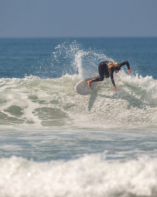 Wayne Rich Singularity- Swallow Tail Surfboard
