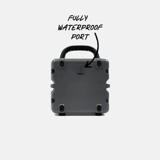 Turtlebox Audio Cub Speaker - Grey