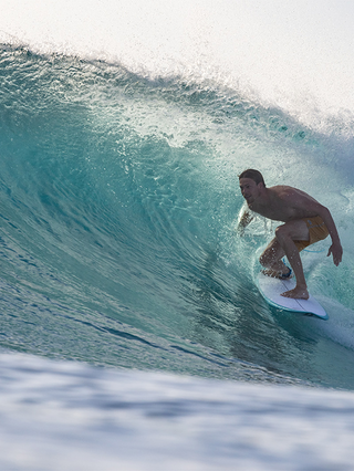 Torq TEC Twin Fish Surfboard