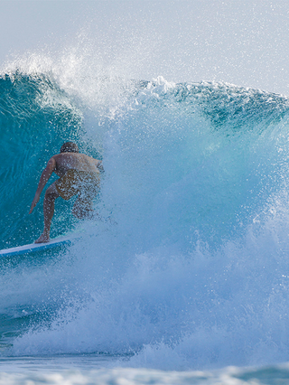 Torq TEC Twin Fish Surfboard