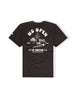 Pigment Black