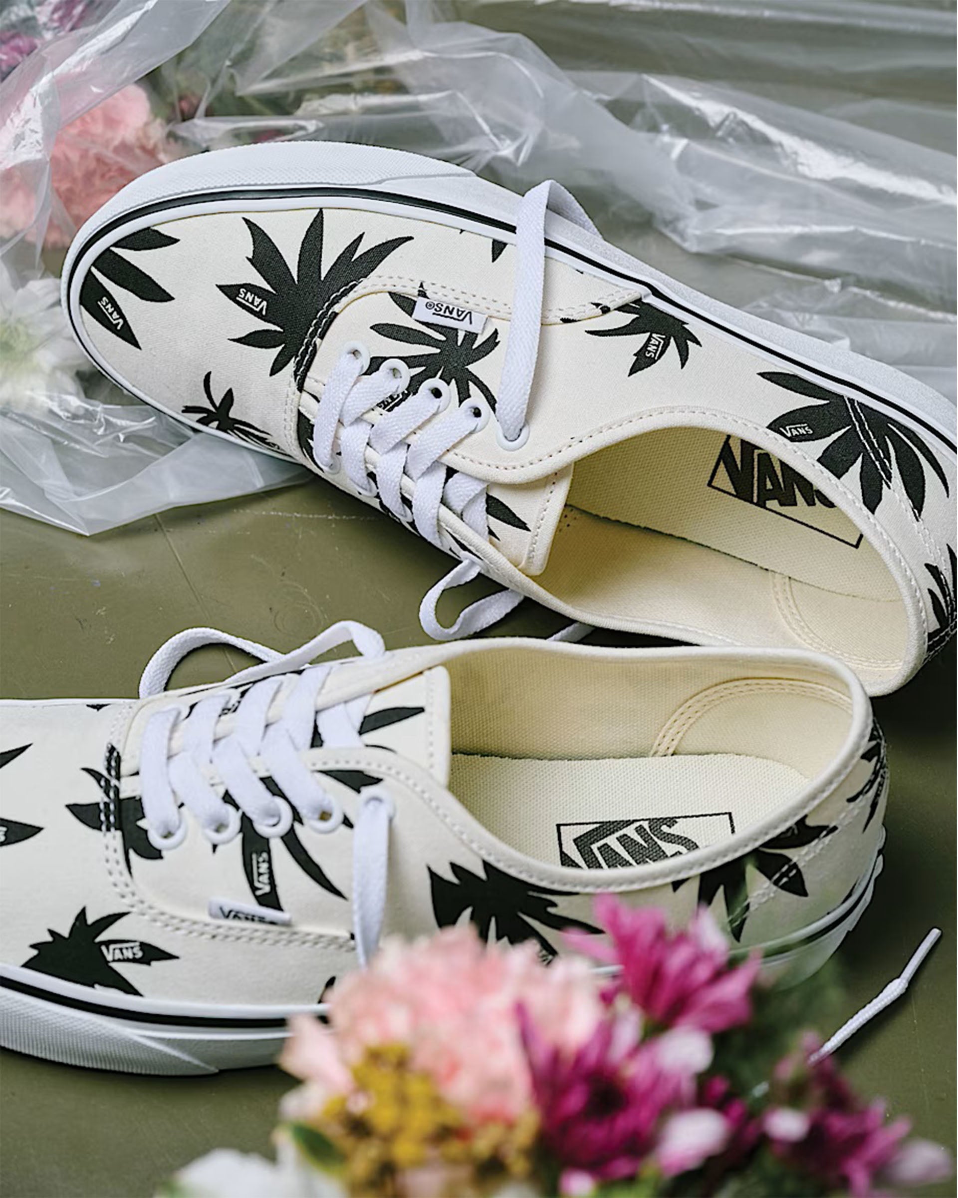 Vans Authentic Shoe - Marshmellow White/Black