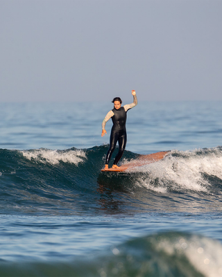 Wayne Rich Wildcard 3 Surfboard