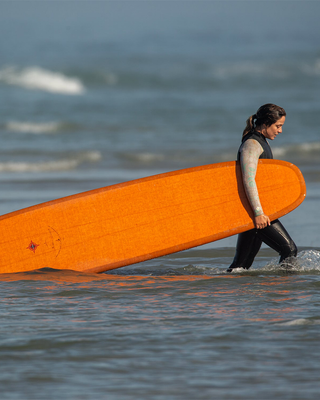 Wayne Rich Wildcard 3 Surfboard