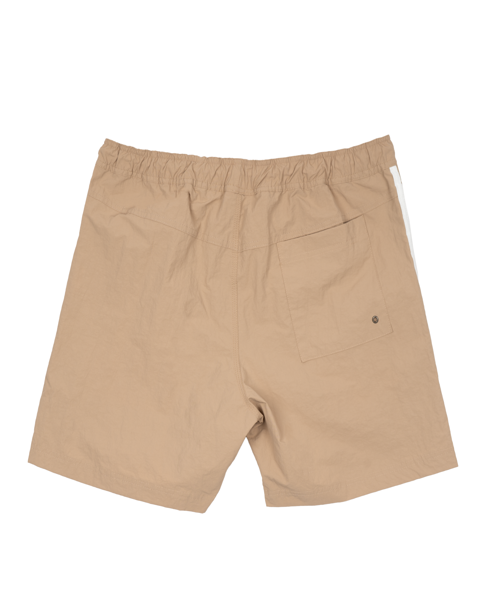 Zion Volley Shorts 16"