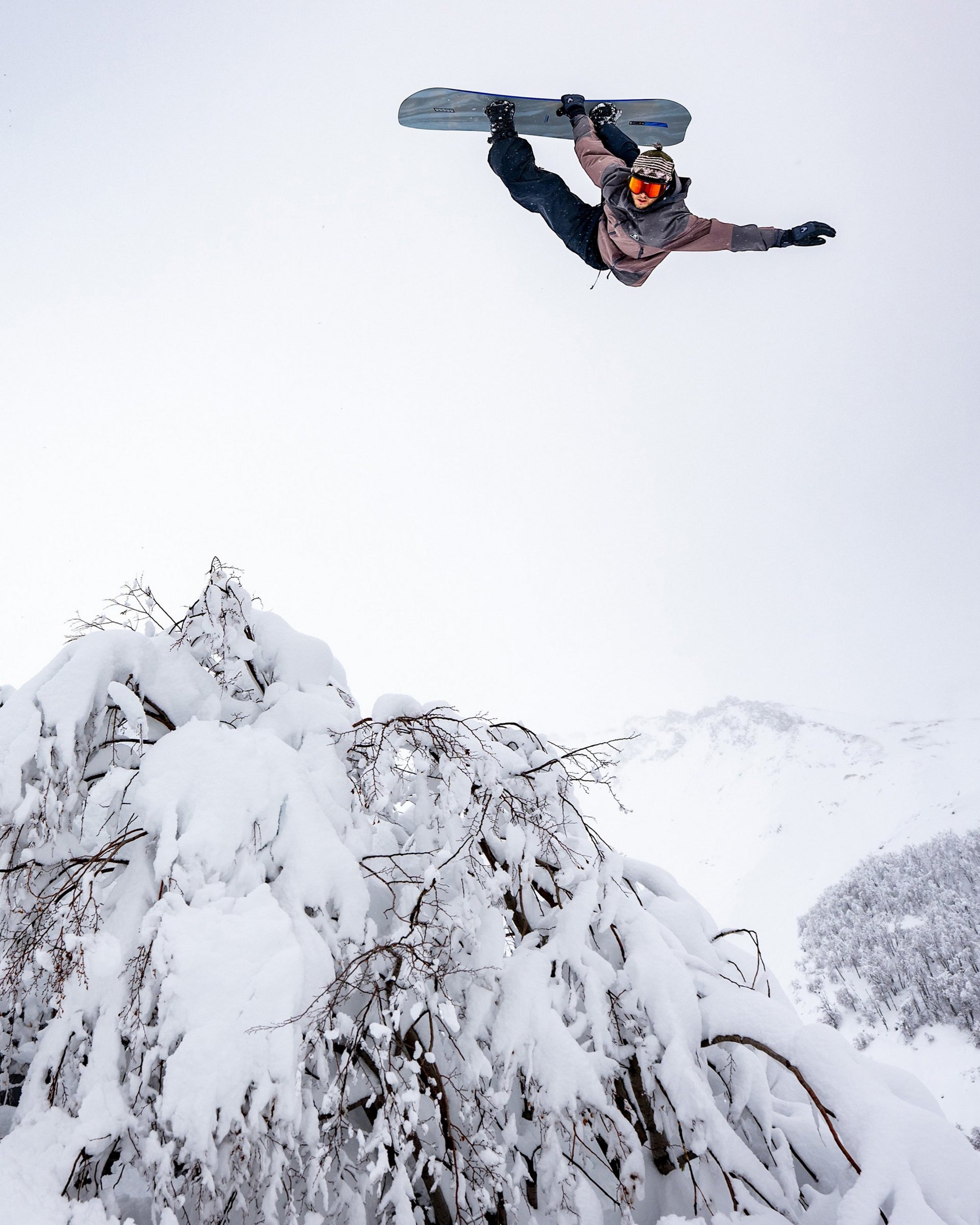 Commonwealth Snowboard '26 – Jack's Surfboards
