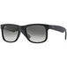 Black/Blue/Polarized