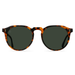 Raen Remmy Sunglasses In Huru/Green Polarized