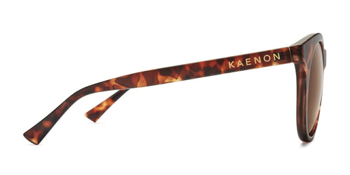Women's Kaenon Sonora Polarized Sunglasses - Matte Tortoise