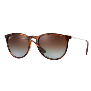 Ray-Ban RB4171 Erika Classic Sunglasses 